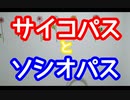 サイコパスとソシオパス対応法！　スーパー発達メンター　NLPer　親子発達お悩み相談室　子ども　発達支援　コーチ　ティーチ　メンター　心理　感覚統合　原始反射　視覚　大脳　EQ　IQ