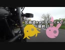 【ゆかマキ車載】北海道をおバイクしてきた～道東編～ 4日目最終日【VTR250】