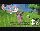 【実況】人見知りな勇者御一行と虚言癖の村人 #2【DQ11S】