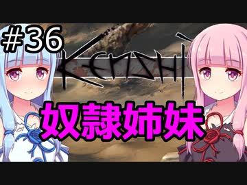 【Kenshi】琴葉茜・葵の奴隷姉妹 #36【VOICEROID実況】