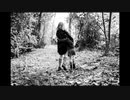 oasis - Fade Away カバーしてみた（再）