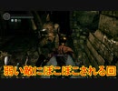地獄の初見縛り【ダークソウルリマスター】part22