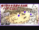 油断しているアリの群れの中にいきなり強敵ハサミムシを入れたら、アリはどうする？