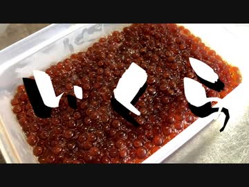 【ゆっくり料理】食べたい時に好きなだけ　# 01 「いくら丼」