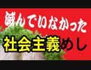 滅んでいなかった!!社会主義めし東ドイツ編【嫌がる娘に無理やり弁当を持たせてみた息子編】