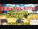 【マリオカート８デラックス】今更やるマリカ8DX#10