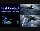 Ace Combat 7 Multiplayer316  バトルロイヤル  F-2A