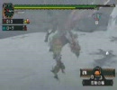 【MHP2G】ファミ通　吹雪を討つもの　ソロハンマー　2/2