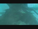 デクの樹サマの口の中に薪の束をねじ込んで、火をつけてみた