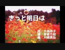 ちゃば：きっと明日は：歌ってみた