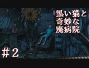 【実況】黒い猫と不思議な廃病院 #2【DISEASE】