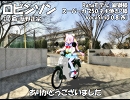 【Rana_V4】ロビンソン【カバー】 #Rana生誕祭2019