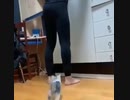 足を登る猫・・・・されたい？
