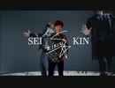 SeinkinTV Endgame