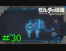 【実況】見落としが多い勇者の冒険part30【ブレスオブザワイルド】