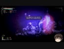 【Salt and Sanctuary】物理アンド重装備-14【ゆっくり】