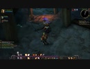 World of Warcraft Classic - Multiboxer