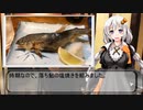 一人居酒屋のススメ♯３１【焼酎で秋を先取りする一人飲み】