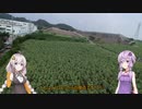 【VOICEROID車載】Versysで雑多なツーリング.Part2「知多半島ドローンお試しツーリング」