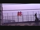 映ることすら許されず討死する武田信玄