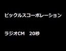 ピックルスコーポレーション　ラジオCM　20秒