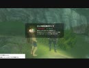 軽い縛りとマスターモードでゼルダの伝説ブレスオブザワイルドpart10。