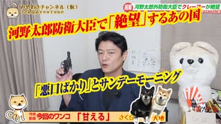 【絶望】河野太郎防衛大臣で「絶望」するあの国。「悪口ばかり」とサンデーモーニング｜みやわきチャンネル（仮）#569Restart428