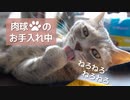 【モアクリ】 肉球のお手入れと手ぐにゃ