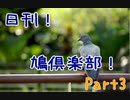 日刊！鳩倶楽部！Part3