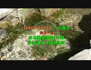 SEROW225WEで　お散歩　＃３－２