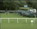 [海外競馬]　第29回 愛チャンピオンS Azamour