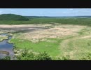 レール＆レンタカーで北海道を食べ歩く！！  ４日め  その２