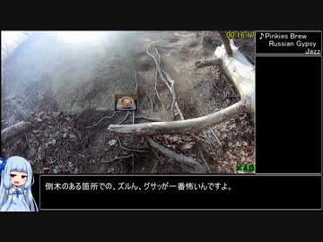 高川山RTA (00:48:28)