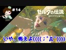 【実況】マスターモードでやりこみサバイバル生活！！　Part14　【ゼルダの伝説　BotW】
