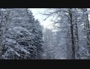 Hamiltonians Quantam - SnowFall