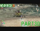 食糧危機を救え！ピクミン3実況part30