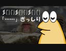 マッマとは マッマとは 単語記事 ニコニコ大百科