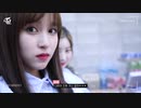 [AutoCut_MINA] TWICE 1Q Highlight