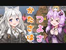 【 APEX 】シールドジブ【 2 2 】