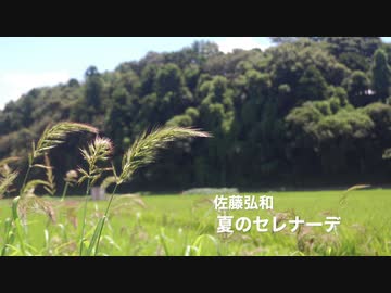 クラシックギターで夏のセレナーデ（佐藤弘和）を弾いてみた