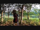 Ravenheart " Hell on earth " おかまギター弾いてみた