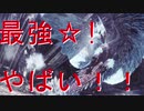 [mhw]モンハンワールド、アイスボーンの大地に立つ！！part9
