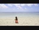 Pexels Videos 1093667　藤谷里志