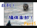 日刊！鳩倶楽部！Part5