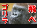 【飛べゴリラ】ゴリラが飛ぶだけのゲームがシュールすぎるｗｗｗ