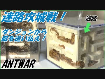 迷路攻城戦！ダンジョンの地下にひそむ敵を退治しろ！