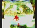 【実況】「夢が、襲ってきた。」LSDをはじめて遊ぶ part18