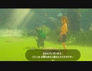 コログの森で運べなかったペパパを運んでみた