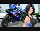 【GSX-R750】サーキットでタイムアタック(みたいなことを)する動画.20190824