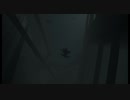 【実況】INSIDE　インサイド　Part11